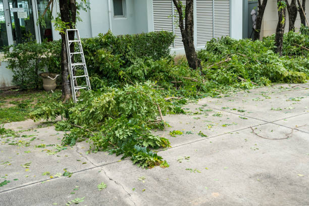 Best Commercial Tree Services  in Parkwood, CA