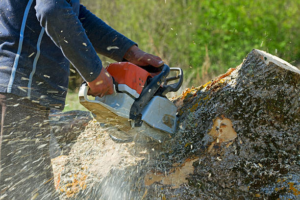 Best Weed Control  in Parkwood, CA
